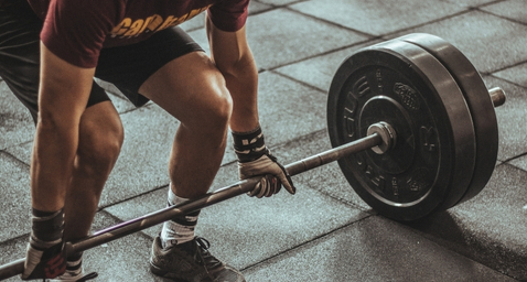 Fitness training tools and wellness integrations